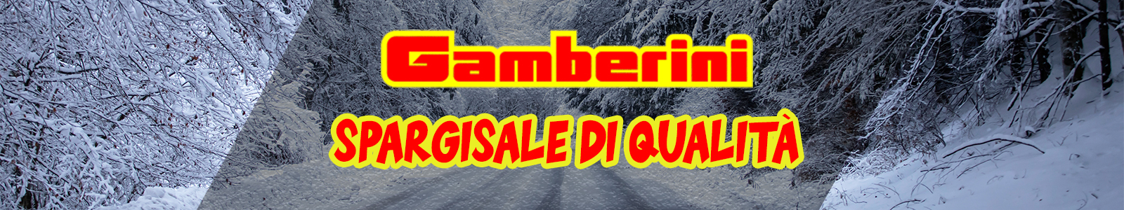 attrezzature neve e ghiaccio gamberini